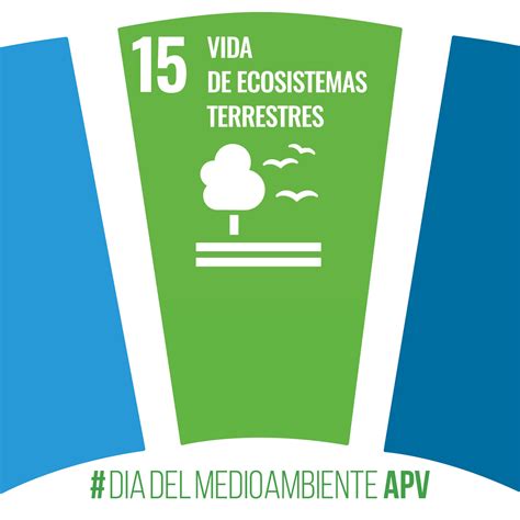 Ods Vida De Ecosistemas Terrestres Dia Del Medio Ambiente Apv