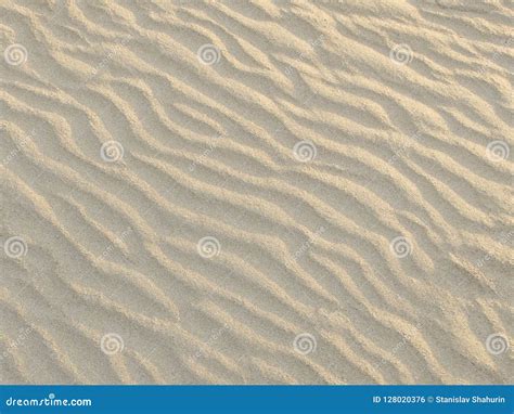 Texture Of Sand Waves On The Beach Or In The Desert The Ripples Of The