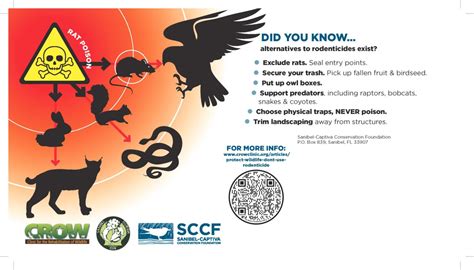 Rodenticide Infographic Sanibel Captiva Conservation Foundation