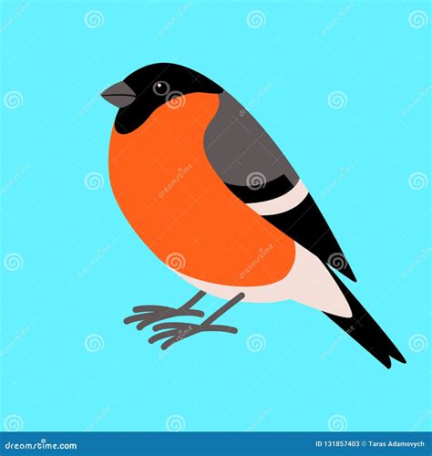 Bullfinch Bird Flat Style Profile Stock Vector Illustration Of