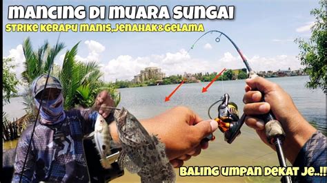 Baling Umpan Dekat Je Terus Strike Ikan Spesis Gred A Umpan Udang