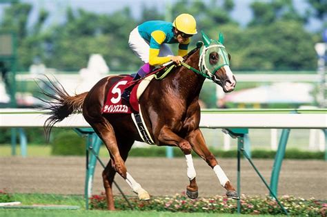 武豊、サイレンススズカの死に「泣きながら酒を飲み、人生初の泥酔をした」 知られざる“天才騎手”の素顔とは？ 競馬 Number Web