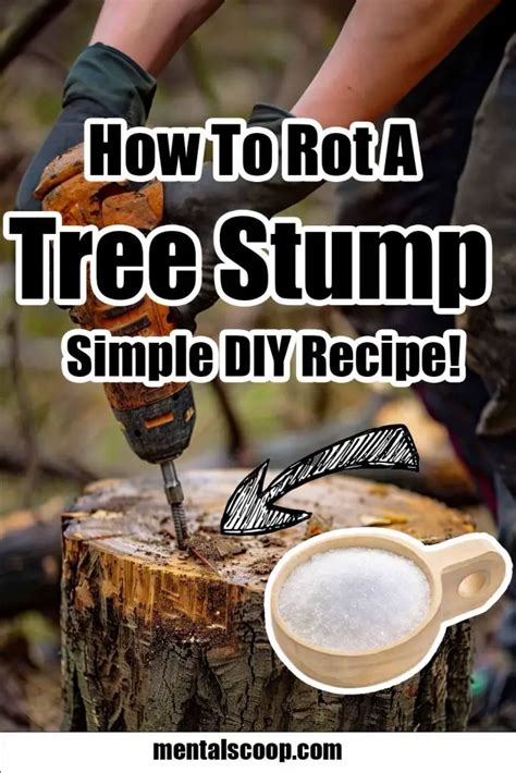 How To Rot A Tree Stump Diy Recipe Mental Scoop