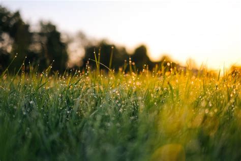 Free Images Nature Sky Sunset Field Lawn Meadow Prairie