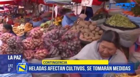 Heladas Afectan Cultivos De Papa Haba Y Tomate Atb Digital