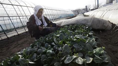 La OMS alerta de que la contaminación radiactiva en alimentos es más