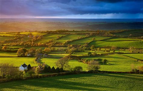 Sunlight Trees Landscape Hill Nature Grass Field House Green