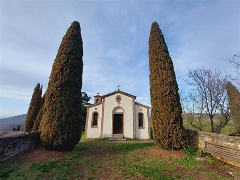 Colli Euganei Monte Rusta 4 Mar 2024 15 06 31 Escursione