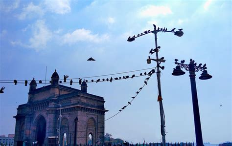 "Gateway Of India Mumbai" Images – Browse 61 Stock Photos, Vectors, and ...