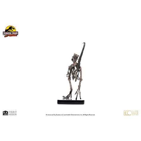 Jurassic Park Figure Raptor Skeleton Bronze Cm Estatuas