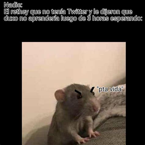 Unos Memes De Ratitas Retheys