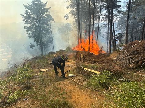 447 Incrementaron Los Incendios Forestales Este Año En Medellín