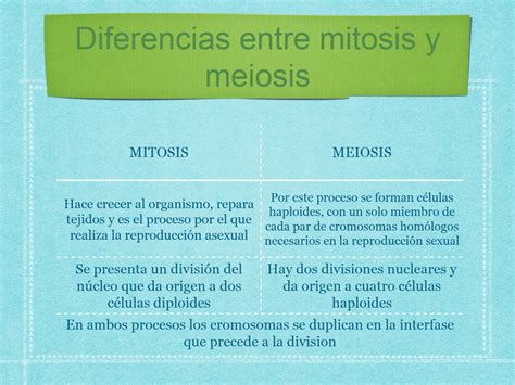 Diferencia Entre Reproduccion Sexual Y Asexual Dinami