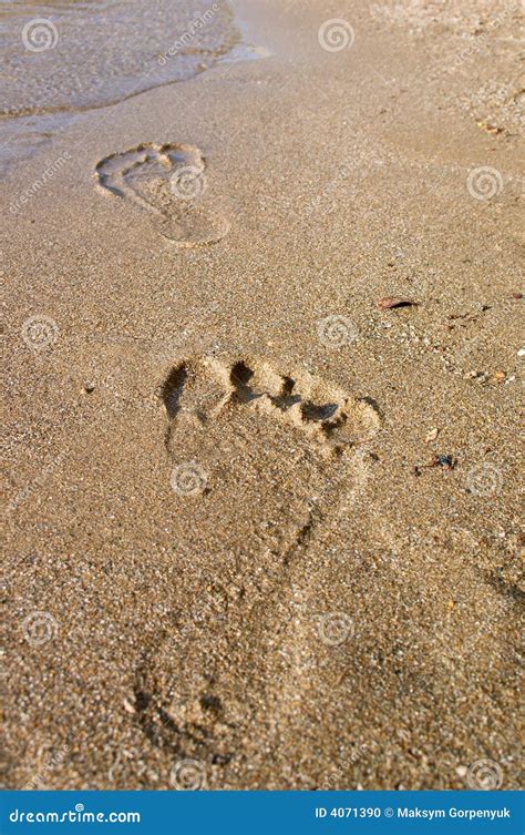 Trail on the sand beach stock photo. Image of footprint - 4071390