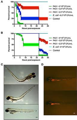 Frontiers In Vivo Host Pathogen Interaction As Revealed By Global