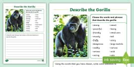 Gorillas Fact File Template Gorilla Teacher Made Twinkl