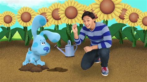 Watch Blue S Clues You Season Episode Growing With Blue Full