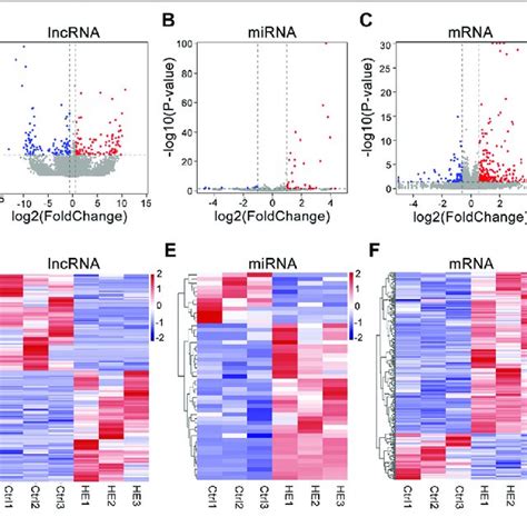 Expression Profiles Of Lncrnas Mirnas And Mrnas In He Hippocampus Download Scientific