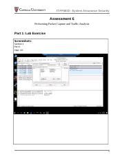 System Assurance Security Packet Capture And Traffic Analysis Course