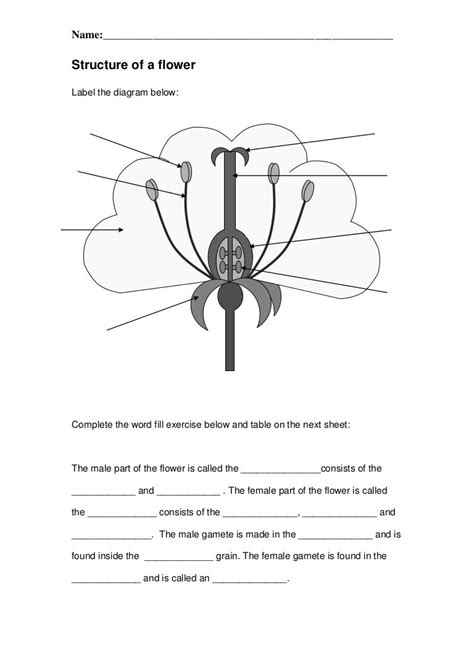 4th Grade Science Worksheets Best Coloring Pages For Kids