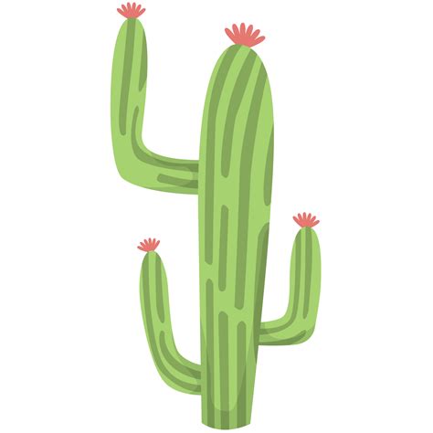 Cactus Saguaro Png Illustrations Png