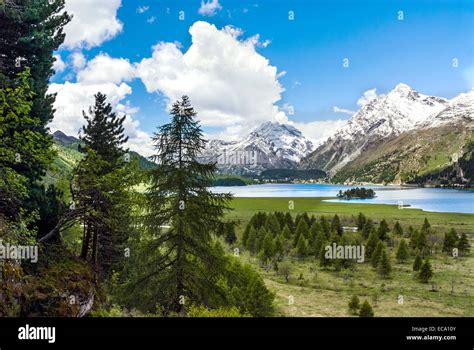 Sommerlandschaft Am Silser See Oberengadin Schweiz Summer Landscape