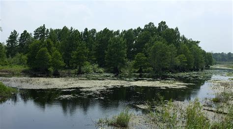 Sheldon Lake State Park – DearTexas,