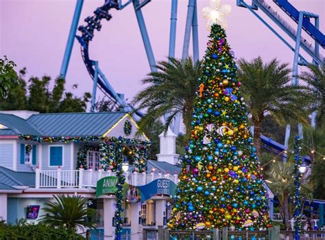 The Best Ways To See Christmas Lights In Orlando This Holiday Season