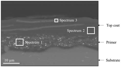 Degradation Mechanisms Occurring In PTFE Based Coatings Employed In