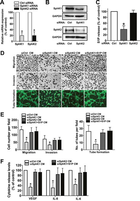 Sphingosine Kinase 1sphingosine 1 Phosphate S1ps1p Receptor Axis Is