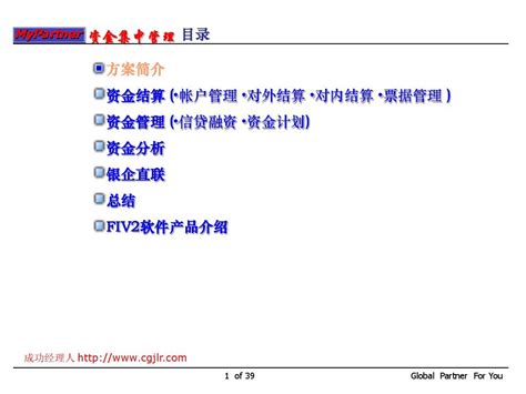 集团企业erp中的资金集中管理word文档在线阅读与下载无忧文档