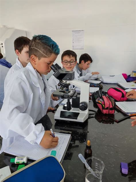 Escola Estadual De Educação Básica Gomes Carneiro - Atividade no... - Escola de Educação Básica Gomes Carneiro