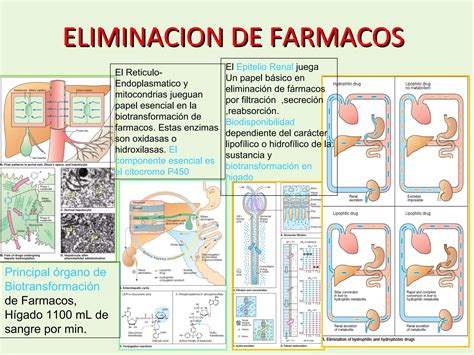 Antipsicoticos Efectos Secundarios Ppt