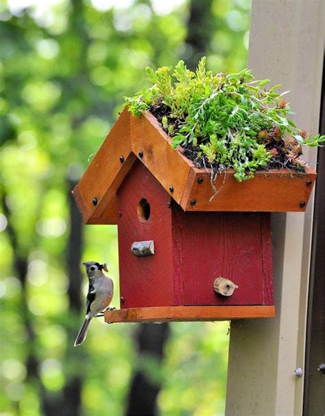 How To Build A Bird House 40 Diy Birdhouse Plans Diy Folly