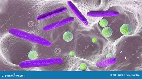 Bacteria Inside Dental Cavity Stock Illustration Illustration Of
