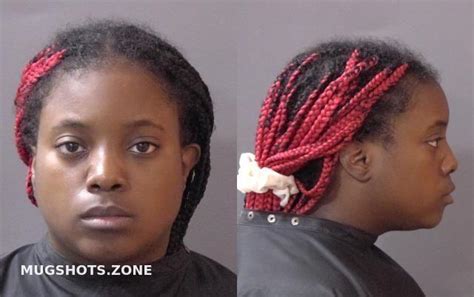 Webster Arriana Renee Hamilton County Mugshots Zone