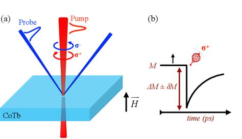 Figure From Resolving The Role Of Magnetic Circular Dichroism In