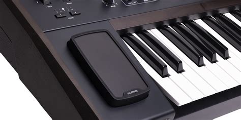 Polybrute By Arturia Goes Stealth With Limited Noir Edition Noisegate