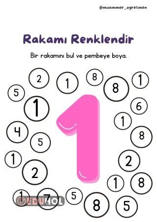 Rakamlar Bul Boya Renklendir Eduhol Etkinlik Ndir Oyun Oyna Test