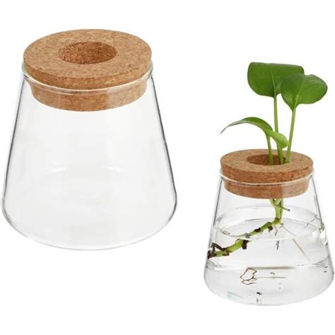 Lot De 2 Pots De Fleurs En Verre Hydroponique Avec Bouchon En Liège