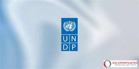 Undp Green Transition Analyst Apply Now Oya Opportunities Oya