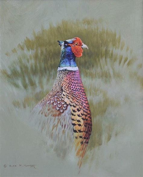 Pheasant Game Bird Painting By Bord Artist Alan M Hunt Keywords Alan