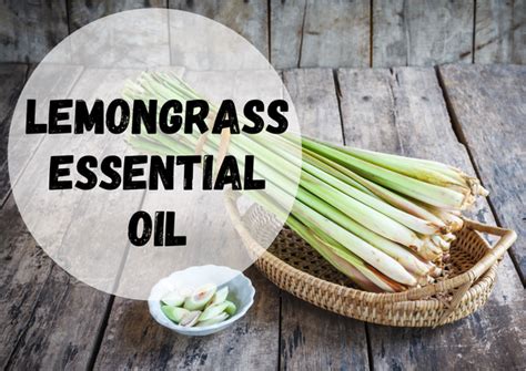 Lemongrass Essential Oil · Plaas Doepa