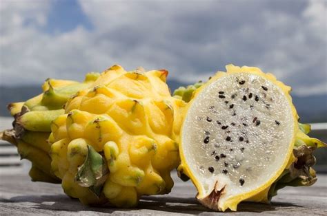 Gambar Buah Naga Kuning Pulp