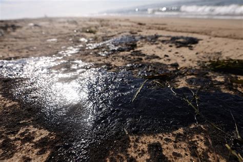 Oil Spill Photos Show Disastrous Scene On Southern California Beaches