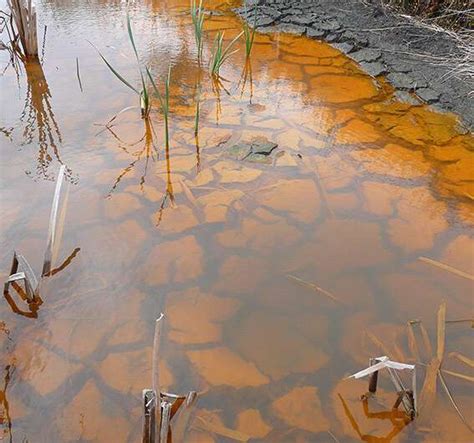 Droughts Are Threatening Global Wetlands