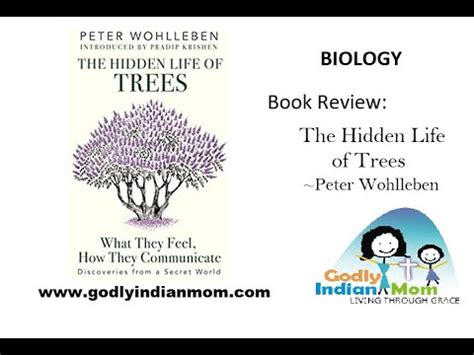 Book Review Science Biology The Hidden Life Of Trees By Peter