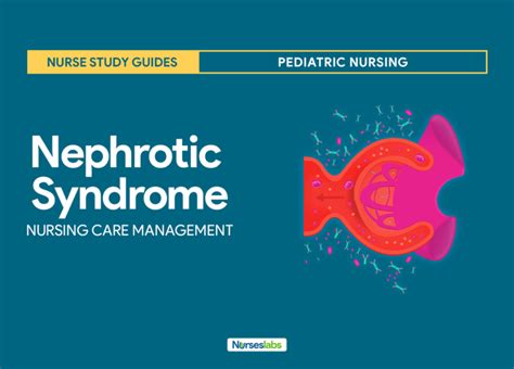 Nephrotic Syndrome Nursing Care Planning And Management Study Guide