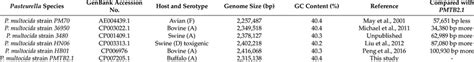 Comparison Of P Multocida Strain Pmtb21 And Complete Genome Sequences Download Scientific