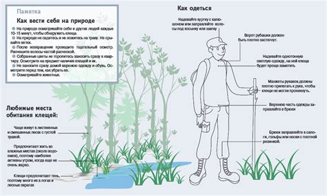 Профилактика клещевого энцефалита | КГБУЗ "Городская больница №5, г ...